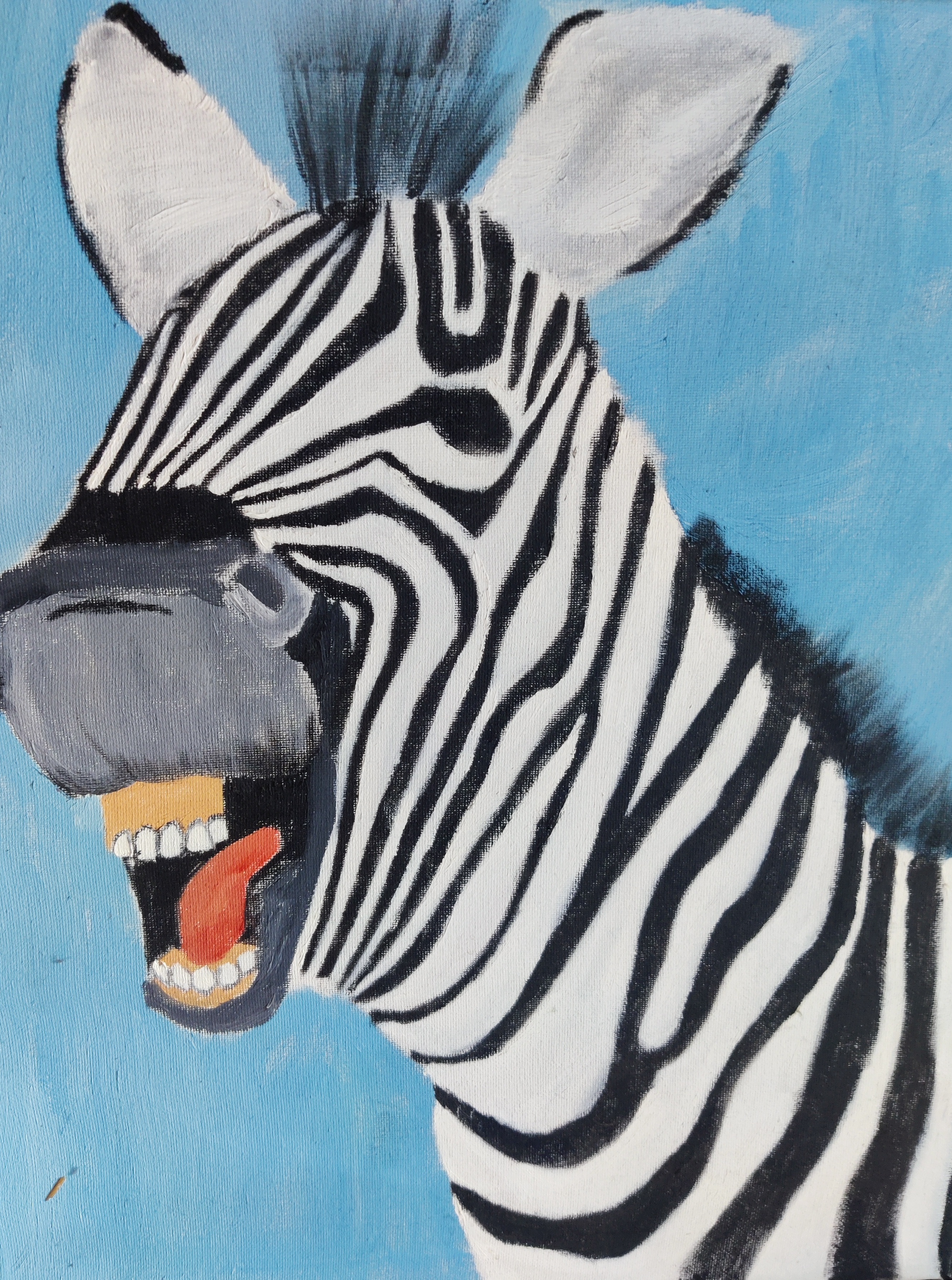 Gähndes Zebra